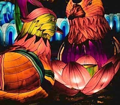 Standart Grafik Hizmeti